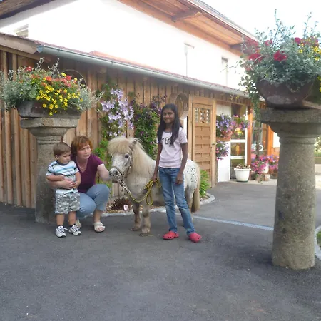 Obermayrgut Lejlighed Gallspach