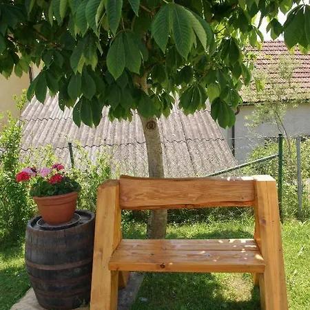 Obermayrgut Appartamento