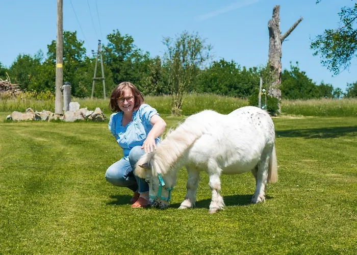 Obermayrgut Lejlighed