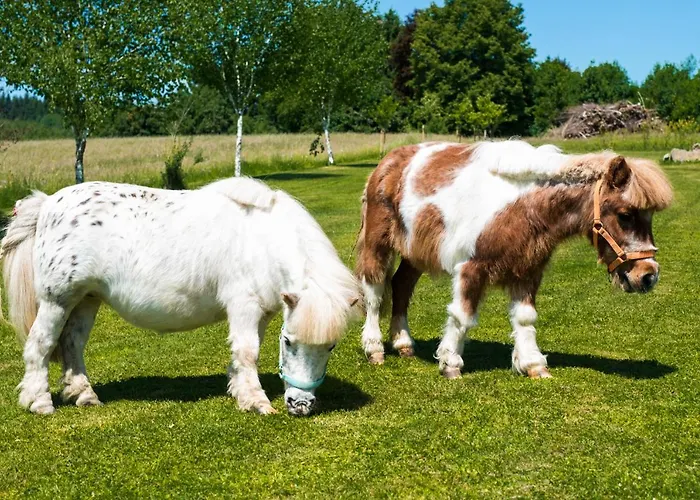 Obermayrgut Lejlighed Gallspach