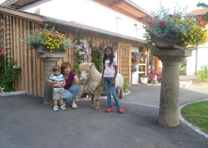 Obermayrgut Lejlighed Gallspach